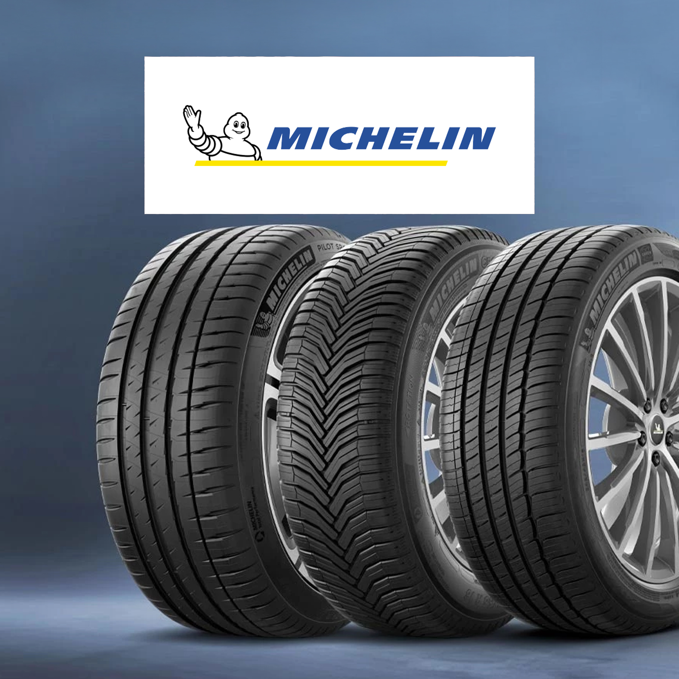 S.p.A. Michelin Italiana Sito Cuneo